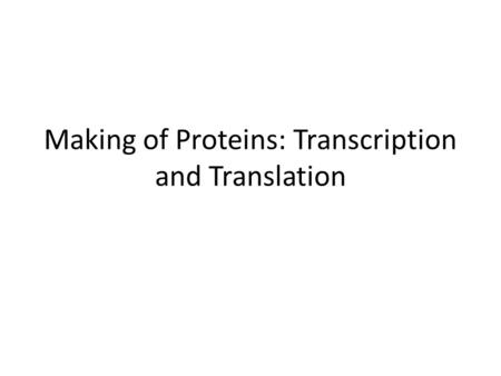 Making of Proteins: Transcription and Translation