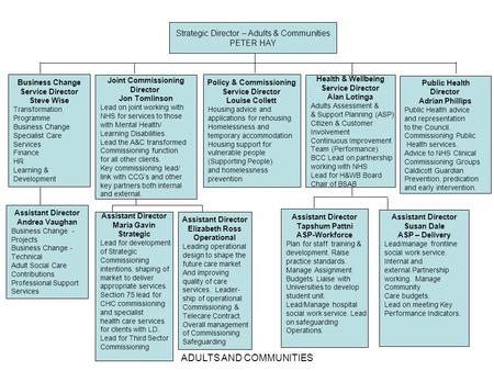 ADULTS AND COMMUNITIES Strategic Director Peter Hay Business Change Service Director Steve Wise Transformation Programme Business Change Specialist Care.
