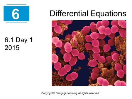 Differential Equations 6 Copyright © Cengage Learning. All rights reserved. 6.1 Day 1 2015.