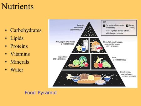 Nutrients Carbohydrates Lipids Proteins Vitamins Minerals Water Food Pyramid.