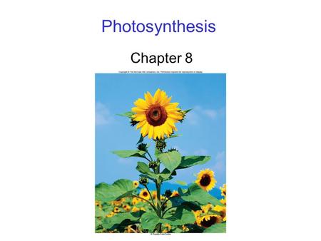 Photosynthesis Chapter 8.