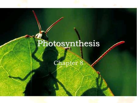 Photosynthesis Chapter 8.