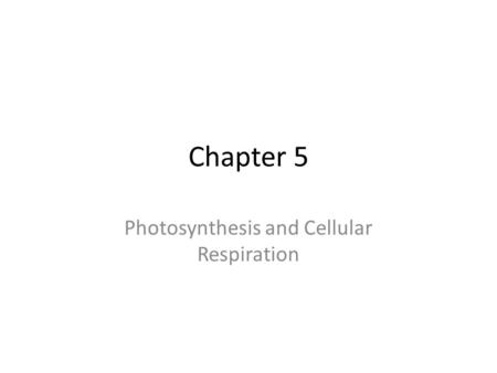 Photosynthesis and Cellular Respiration