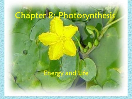 Chapter 8: Photosynthesis Energy and Life. Rainy Day Suppose you earned extra money from a part- time job. You might be tempted to spend all the money,