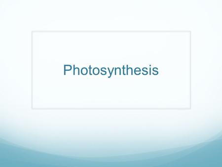 Photosynthesis.