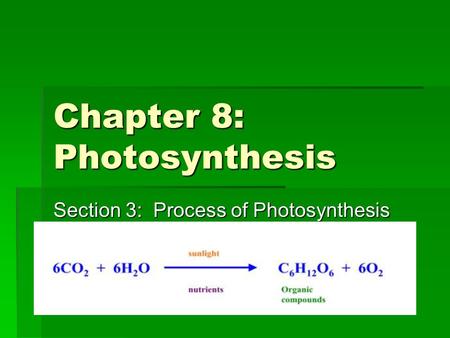 Chapter 8: Photosynthesis