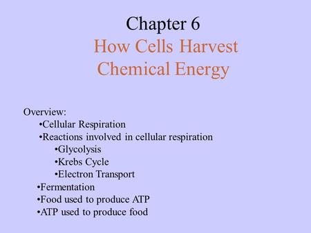 Chapter 6 How Cells Harvest Chemical Energy