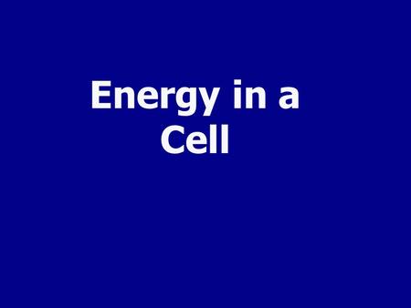 Energy in a Cell All Cells Need Energy Cells need energy to do a variety of work: Making new molecules. Building membranes and organelles. Moving molecules.