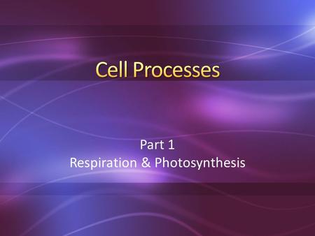 Part 1 Respiration & Photosynthesis. Key Question: Why do we need to eat food? Initial Thoughts: Cells need energy to do work. For example: moving your.