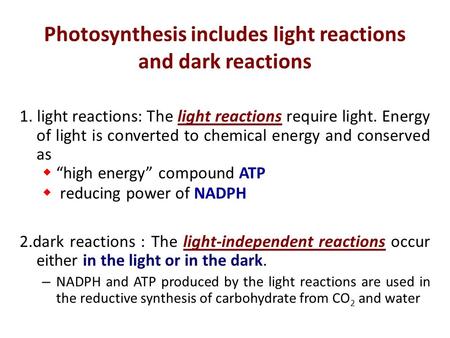 Photosynthesis includes light reactions and dark reactions