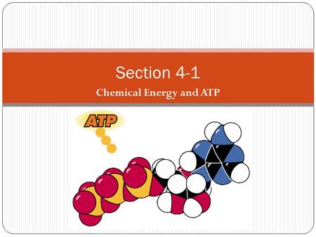 Chemical Energy and ATP