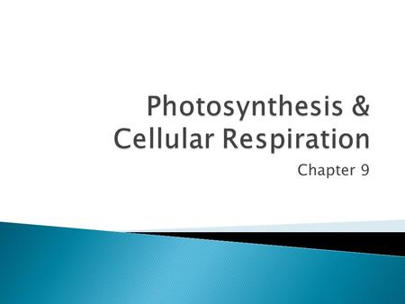 Chapter 9.  Energy: the ability to do work  In cells, energy is in the chemical form  The stored chemical energy in cells is called ATP, or adenosine.