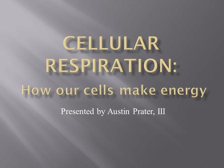 Presented by Austin Prater, III.  Plants and animals both use products of photosynthesis (glucose) for metabolic fuel.  Heterotrophs : must take in.