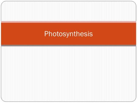 Photosynthesis. Blank Sheet of Paper Cut the blank sheet of paper in half Cut across the width of the paper Fold each half in half.