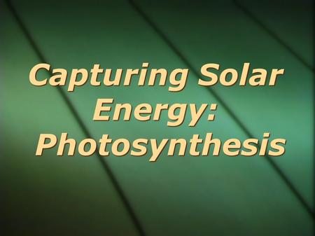 Capturing Solar Energy: Photosynthesis. Photosynthesis  Light energy captured and stored as chemical potential energy in the covalent bonds of carbohydrate.