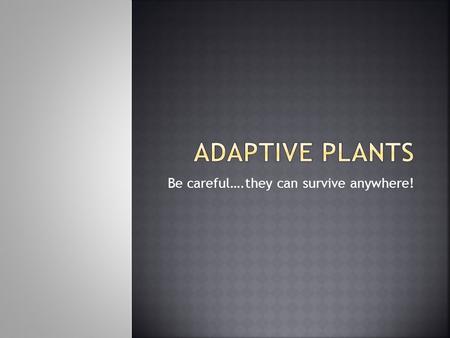 Be careful….they can survive anywhere!.  The three types of photosynthesis are C 3, C 4, and CAM. C 3 photosynthesis is the typical photosynthesis.