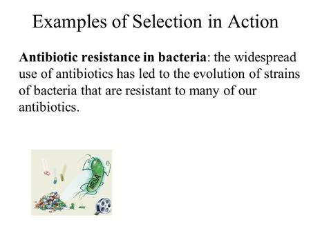 Examples of Selection in Action