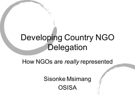 Developing Country NGO Delegation How NGOs are really represented Sisonke Msimang OSISA.