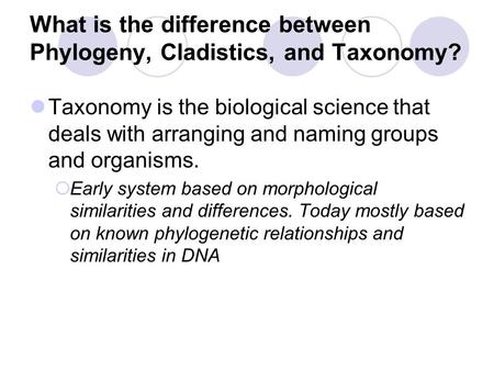 What is the difference between Phylogeny, Cladistics, and Taxonomy?