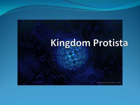 Kingdom Protista.