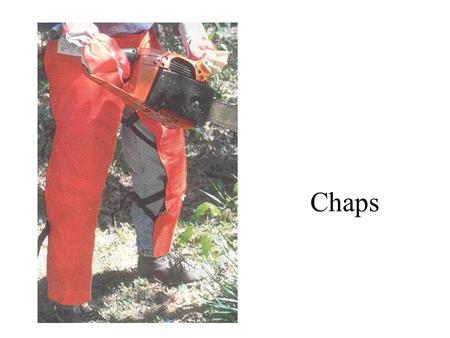 Chaps. Diameter tape Hand compass Increment borer.