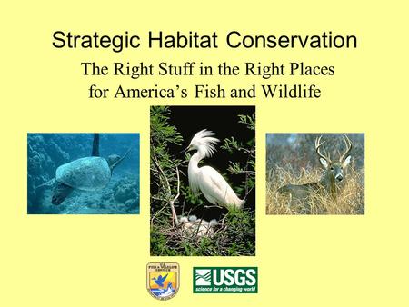 Strategic Habitat Conservation The Right Stuff in the Right Places for America’s Fish and Wildlife.