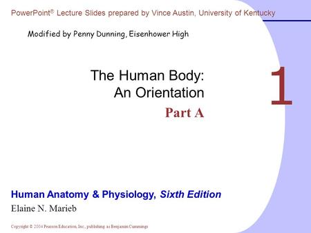 Copyright © 2004 Pearson Education, Inc., publishing as Benjamin Cummings Human Anatomy & Physiology, Sixth Edition Elaine N. Marieb PowerPoint ® Lecture.