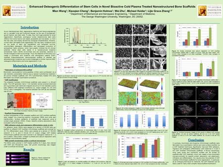 Figure 12, Greatly enhanced total calcium deposition on CAP modified nHA/Chitosan scaffold after 3 weeks of culture. Data are mean ±SEM; n=9. *p