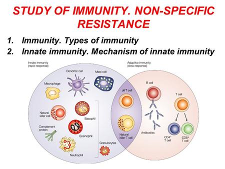 STUDY OF IMMUNITY. NON-SPECIFIC RESISTANCE