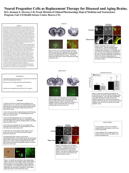 Neural Progenitor Cells as Replacement Therapy for Diseased and Aging Brains. R.G. Jarman, E. Alveraz, C.R. Freed; Division of Clinical Pharmacology, Dept.