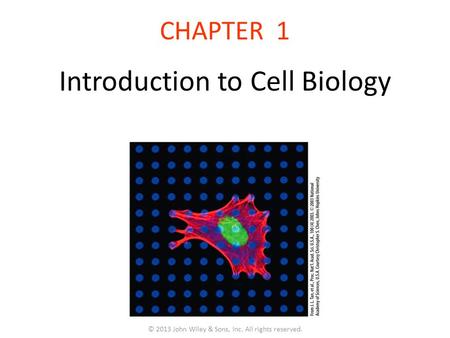 CHAPTER 1 Introduction to Cell Biology © 2013 John Wiley & Sons, Inc. All rights reserved.