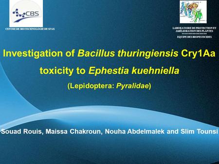 Page 1 Investigation of Bacillus thuringiensis Cry1Aa toxicity to Ephestia kuehniella (Lepidoptera: Pyralidae) Souad Rouis, Maissa Chakroun, Nouha Abdelmalek.