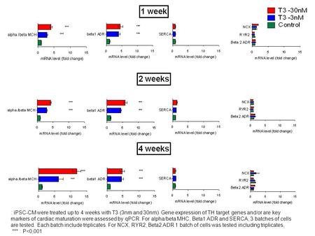 : iPSC-CM were treated up to 4 weeks with T3 (3nm and 30nm). Gene expression of TH target genes and/or are key markers of cardiac maturation were assessed.