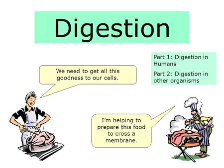 Digestion We need to get all this goodness to our cells. I’m helping to prepare this food to cross a membrane. Part 1: Digestion in Humans Part 2: Digestion.