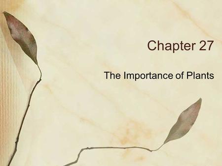 Chapter 27 The Importance of Plants. Plant Cultivation Fewer than 20 plant species provide more than 90% of our food supply. Selective breeding is process.