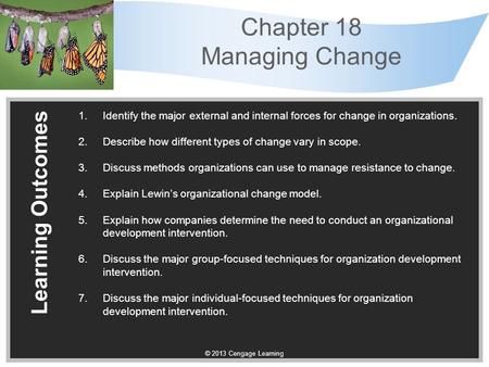 Chapter 18 Managing Change