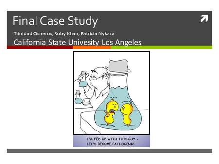 Final Case Study California State Univesity Los Angeles