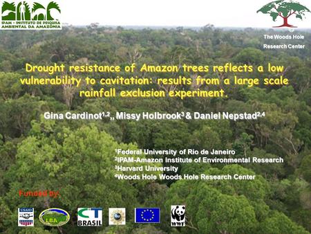 Drought resistance of Amazon trees reflects a low vulnerability to cavitation: results from a large scale rainfall exclusion experiment. Gina Cardinot.