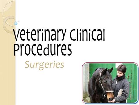 Veterinary Clinical Procedures Surgeries. The Surgery Team Surgery Team consists of a surgeon, an anesthetist (or a few sterile assistants-scrub nurse),