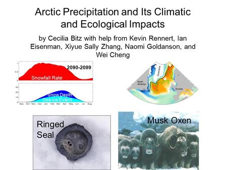 Musk Oxen Ringed Seal Snowfall Rate Sea-ice Extent Snow Depth 2090-2099 Arctic Precipitation and Its Climatic and Ecological Impacts by Cecilia Bitz with.