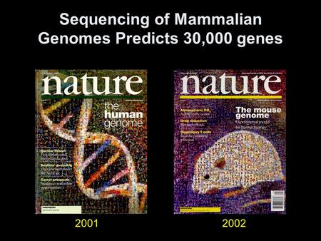 Sequencing of Mammalian Genomes Predicts 30,000 genes 20012002.