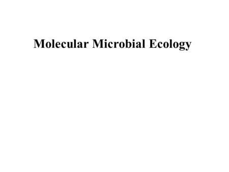 Molecular Microbial Ecology