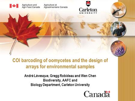 COI barcoding of oomycetes and the design of arrays for environmental samples André Lévesque, Gregg Robideau and Wen Chen Biodiversity, AAFC and Biology.