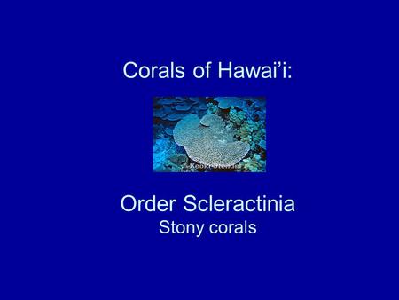 Corals of Hawai’i: Order Scleractinia Stony corals