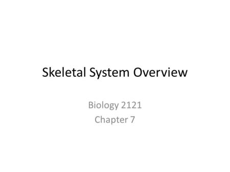 Skeletal System Overview