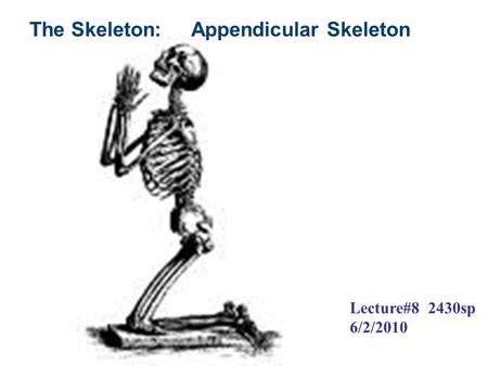 The Skeleton: Appendicular Skeleton Lecture#8 2430sp 6/2/2010.