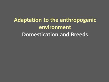 Adaptation to the anthropogenic environment Domestication and Breeds.