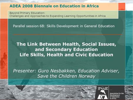 Beyond Primary Education: Challenges of and Approaches to Expanding Learning Opportunities in AfricaAssociation for the Development of Education in Africa.