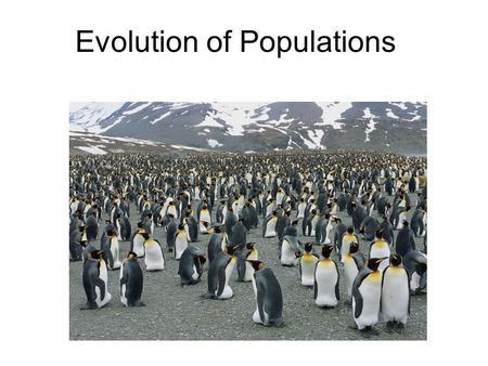 Evolution of Populations