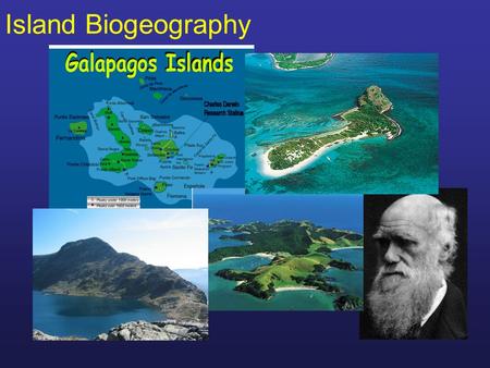 Island Biogeography.